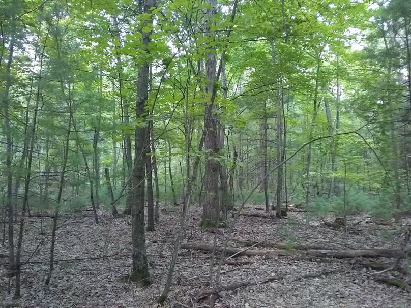 SW1nIDIwMTkwOTAyIDE3NTIwODQxMw==