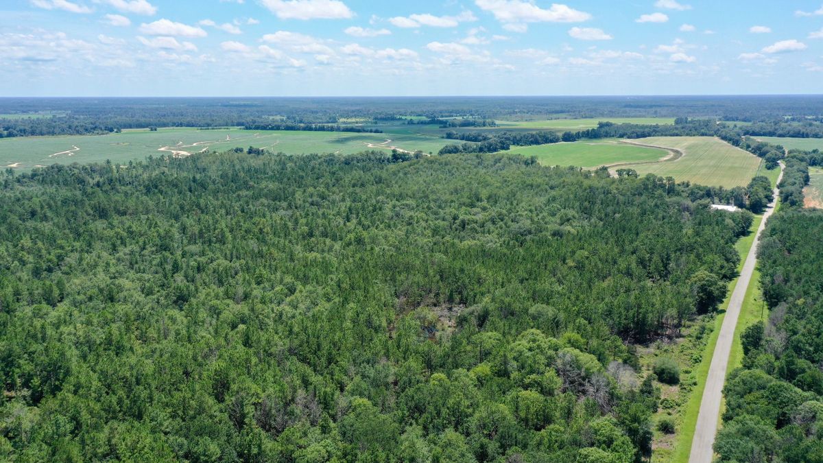 Hunter's Paradise With Wet Weather Creek In Southern