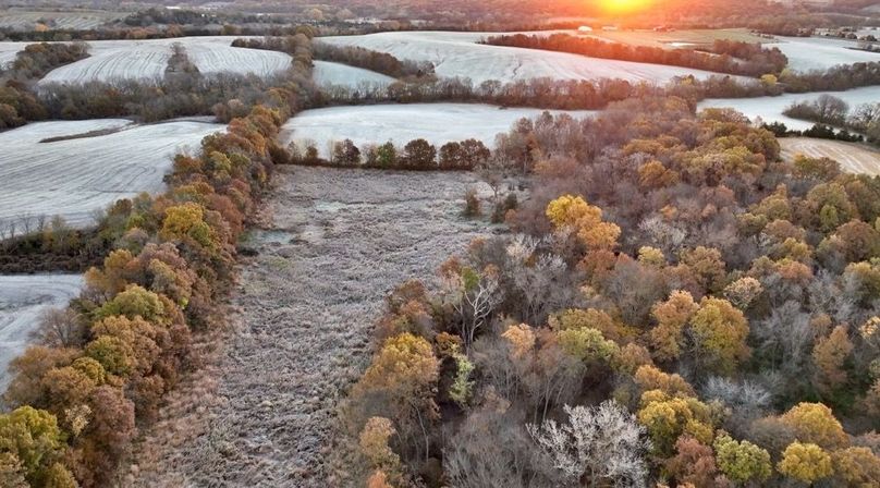 Screenshot 2025-11-20 at 10.05.25 AM