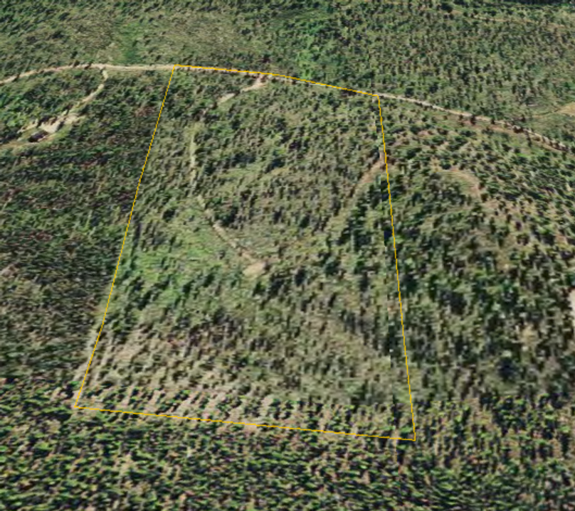 Screen shot 2019-09-05 at 10.43.34 pm