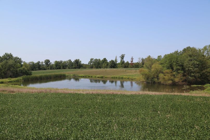 IDEgdGhpcmQgcG9uZCAx