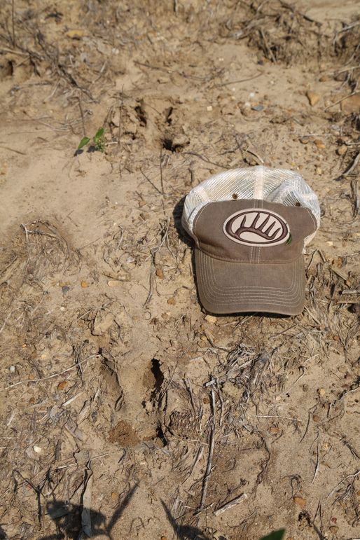 MyBkZWVyIHRyYWNrcyAy