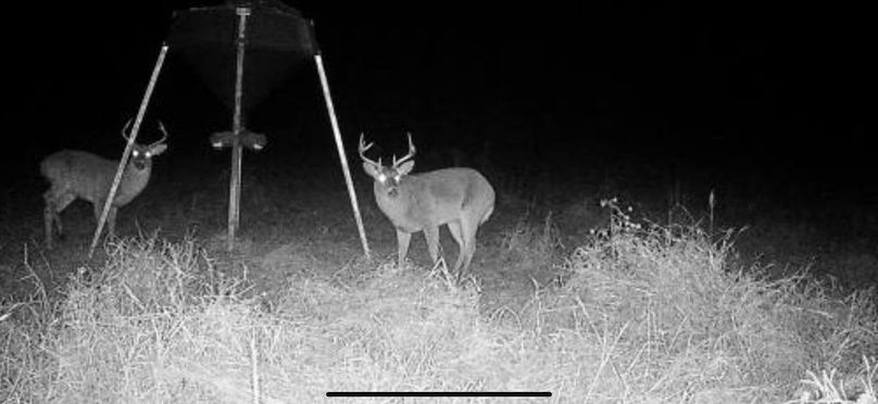 #19