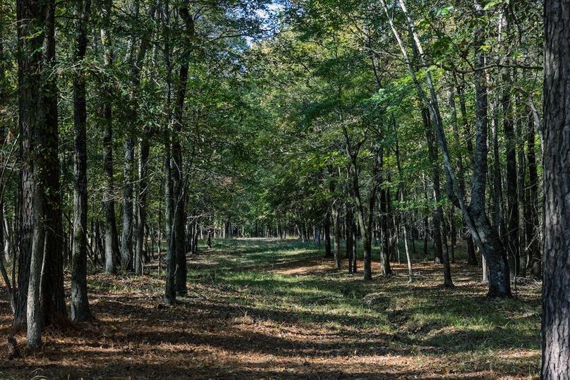 61 harrison 417ac pics-082