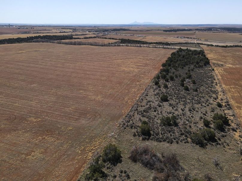 DJI_0959