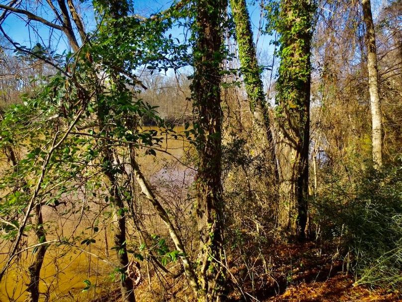 A97DA66A-4A3B-4DBD-BD84-19FCB9FFFBCD_1_105_c