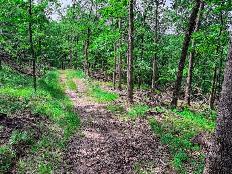 Wirt, WV 137.45 AC Full-55