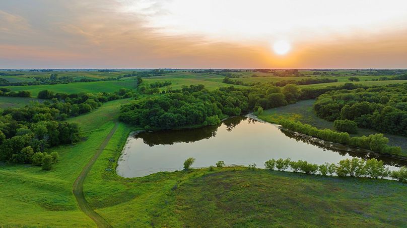 Harrison MO 480 Pro Photo_230 (17)