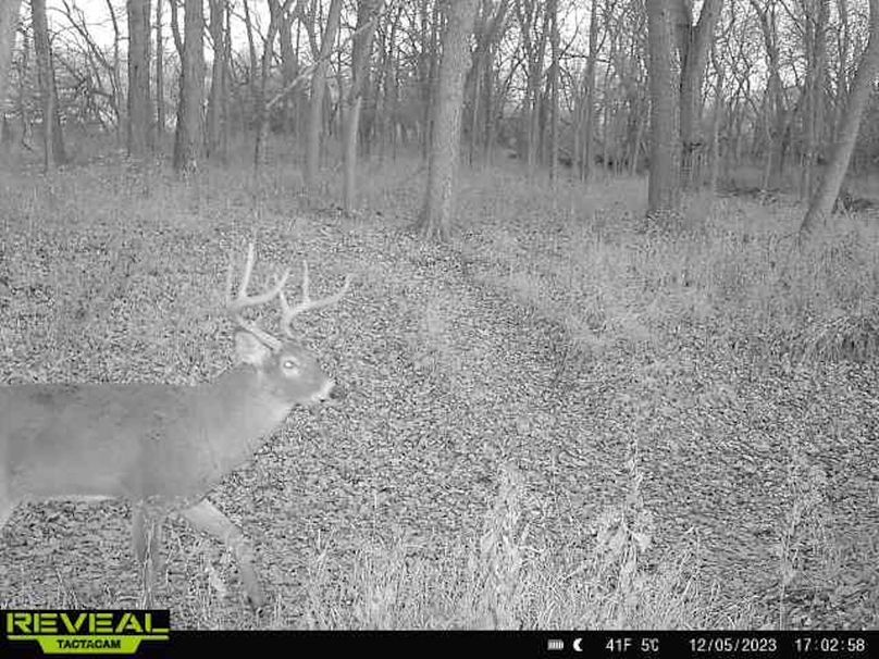 865814043007457-100-4-12052023170258-W1013121