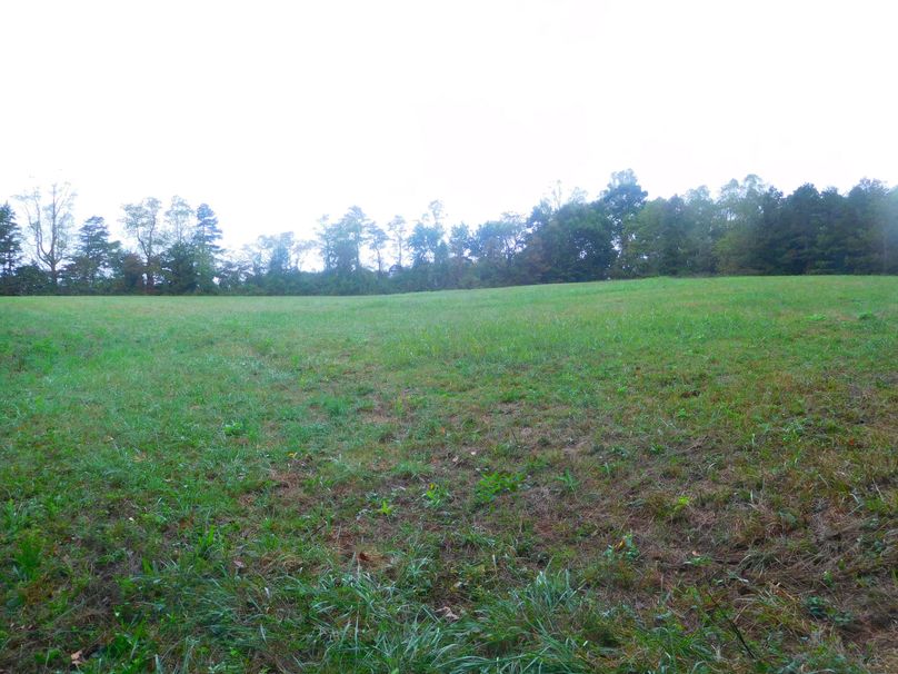 007 tillable ground hay field 2