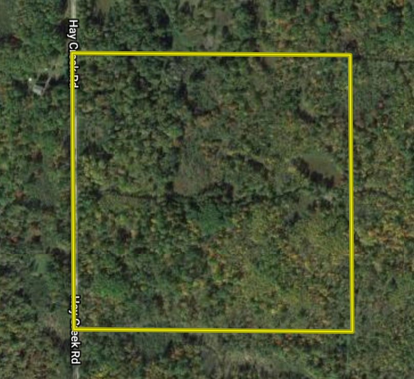 Screen shot 2019-10-08 at 1.30.56 pm