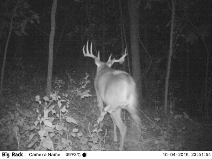 Trailcam1