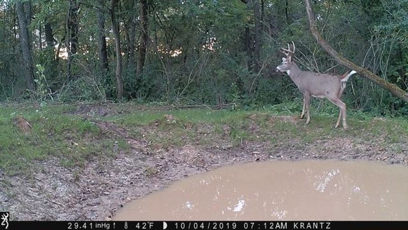 Trailcam2