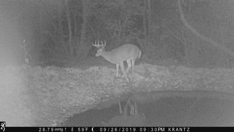 Trailcam3