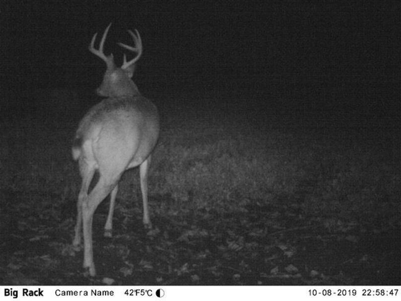 Trailcam4