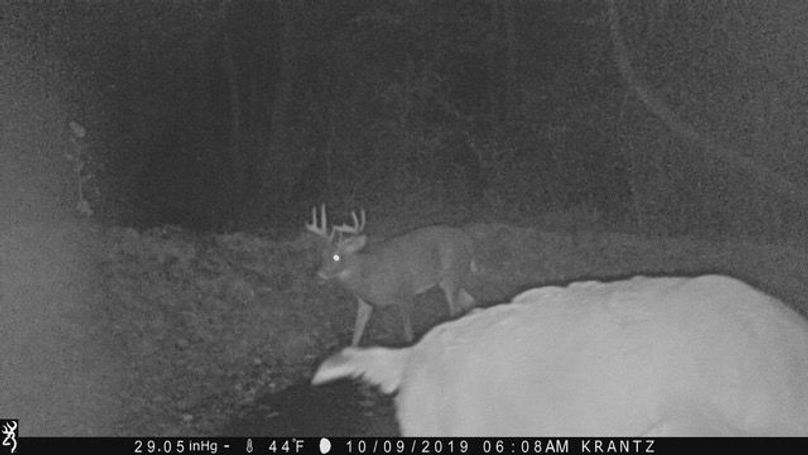 Trailcam6