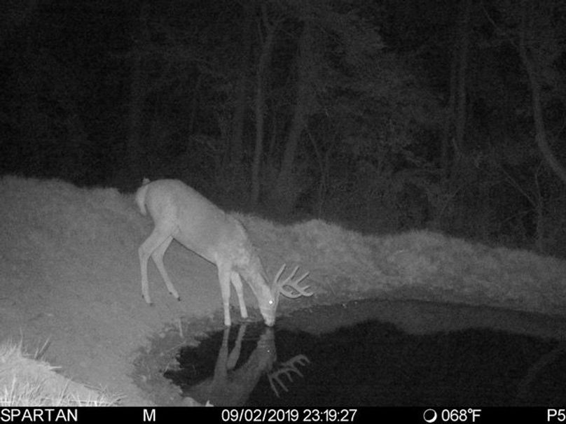 Trailcam7