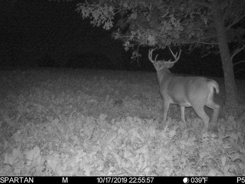 Trailcam10
