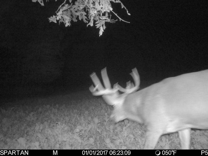 Trailcam9