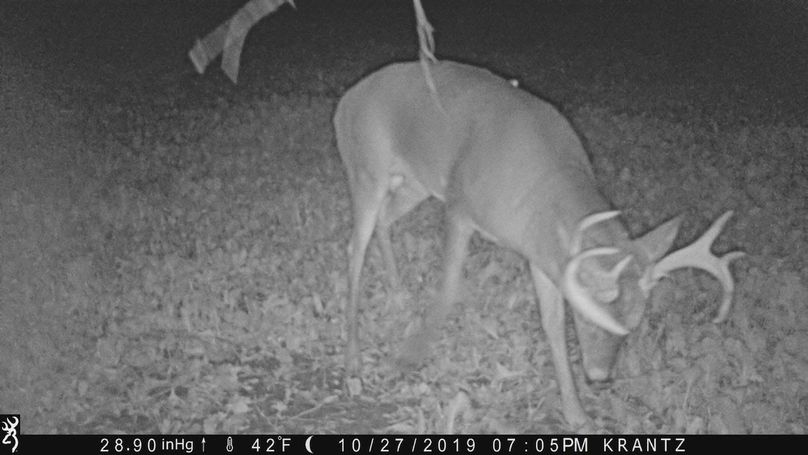 Jpeg image-d09226c3cd3d-1