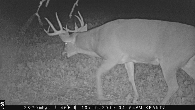 Jpeg image-dd776b1edff5-1