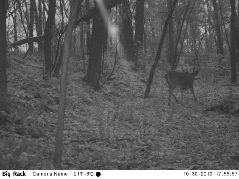 Jpeg image-dedd16287b1d-1