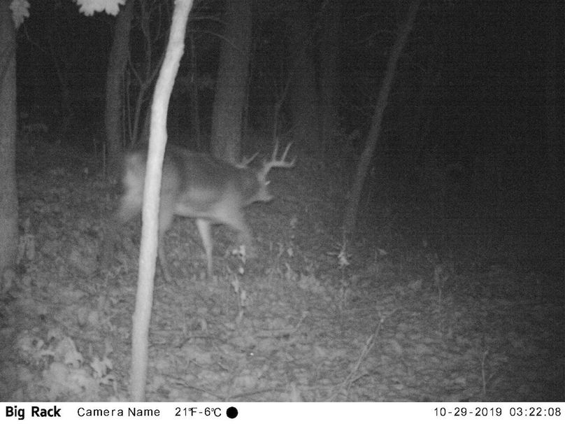 Jpeg image-ecbf94b2b227-1