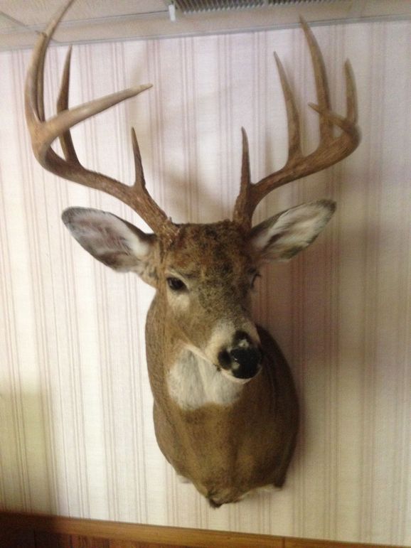 Unadjustednonraw largepv 365d