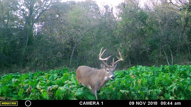 9d5e629534844badbe3e917458d5ebf5