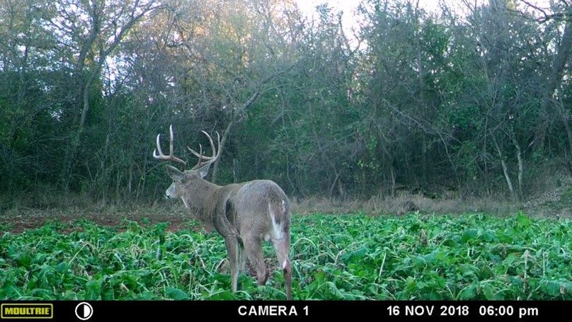 2aa59885543e4f86ab447ba26f8f20bc