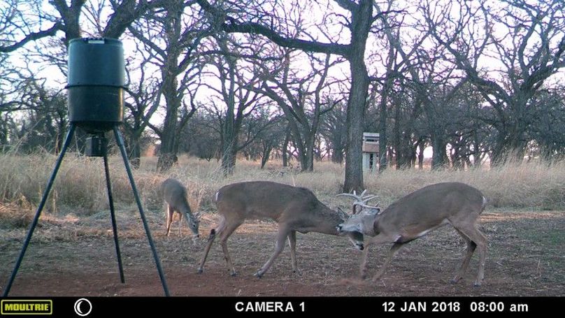 A14582d9be644cc7a55d13701beebc9d