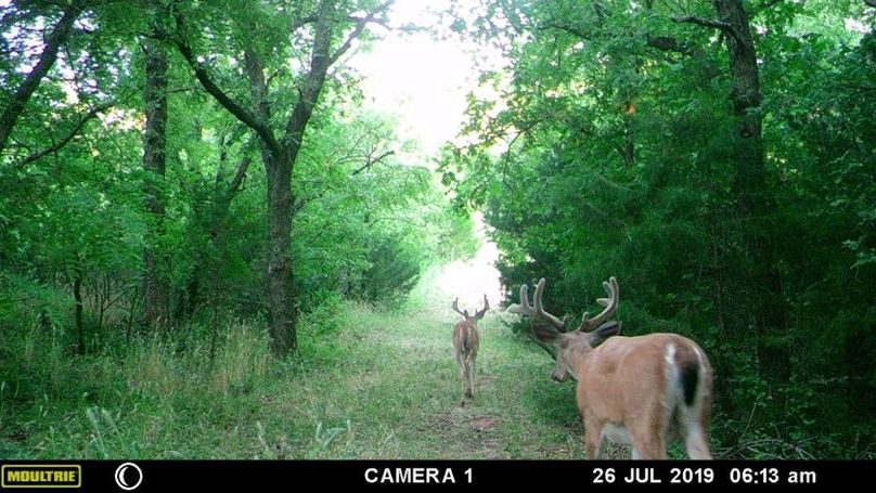 F783f7c1b3f349c1a7558f8efc939959