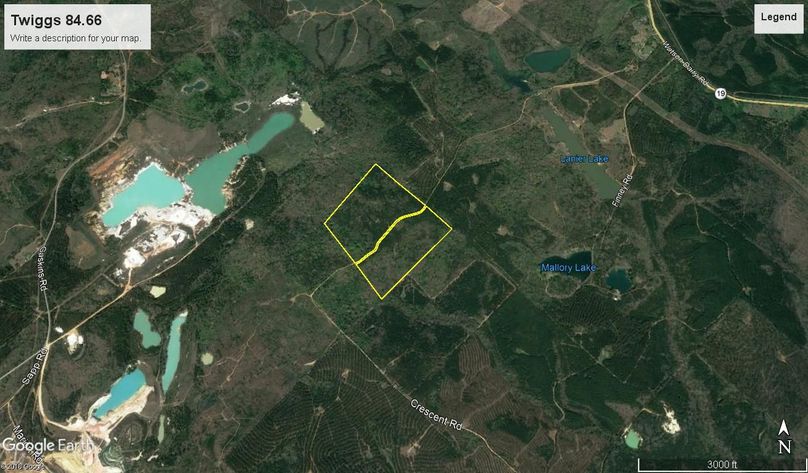 Twiggs 84.66 acres map1