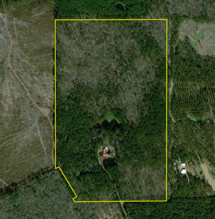 95 ac. amite co. aerial