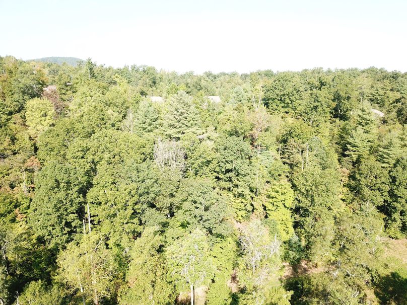010 aerial of timber 