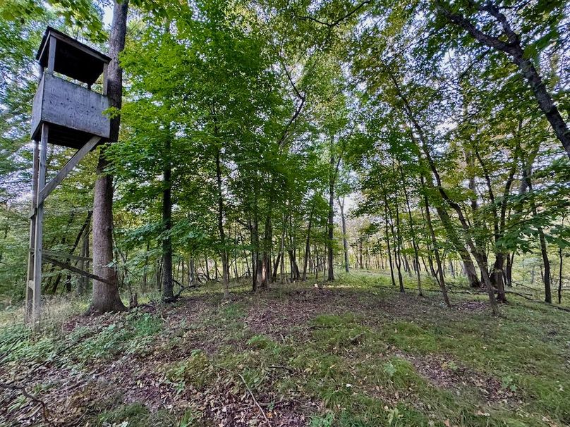 Richland 199Ground - 22