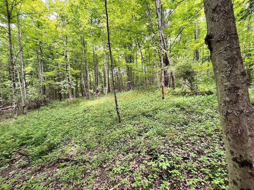 Tioga_78_Biada_Photos_107