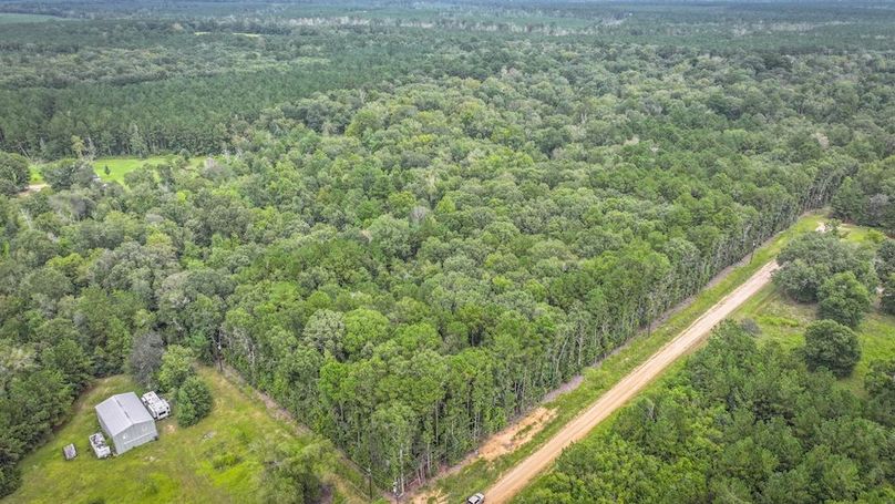 Copy of DJI_20240905150712_0298_D