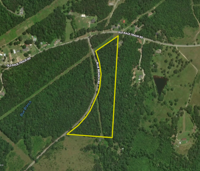 Screenshot 2025-07-31 at 9.54.24 AM