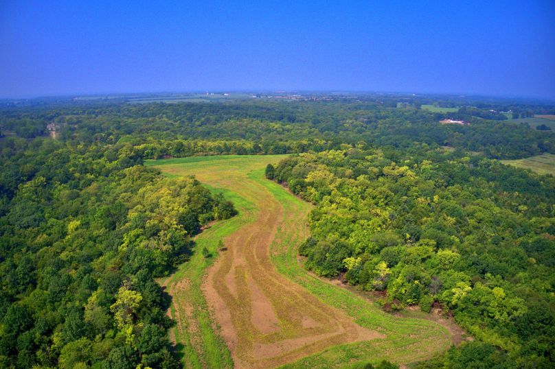DJI_0168