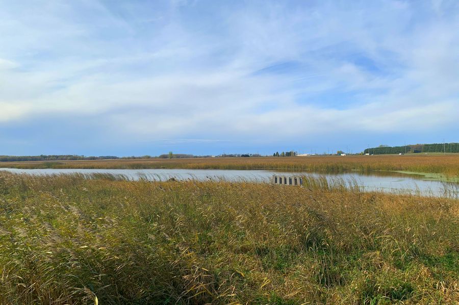 Historical Grass Lake Wetland Basin in Western MN Whitetail Properties