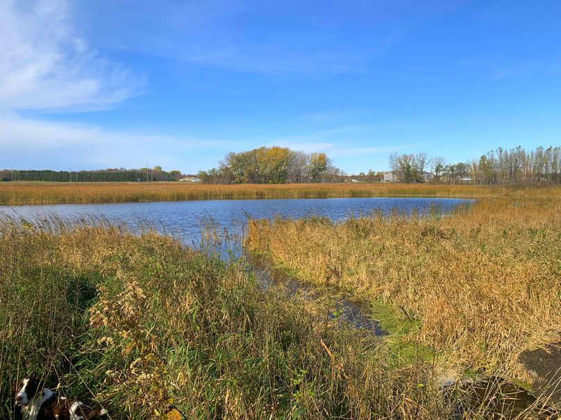 Historical Grass Lake Wetland Basin in Western MN Whitetail Properties