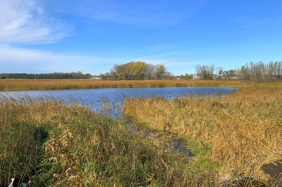 Historical Grass Lake Wetland Basin in Western MN Whitetail Properties