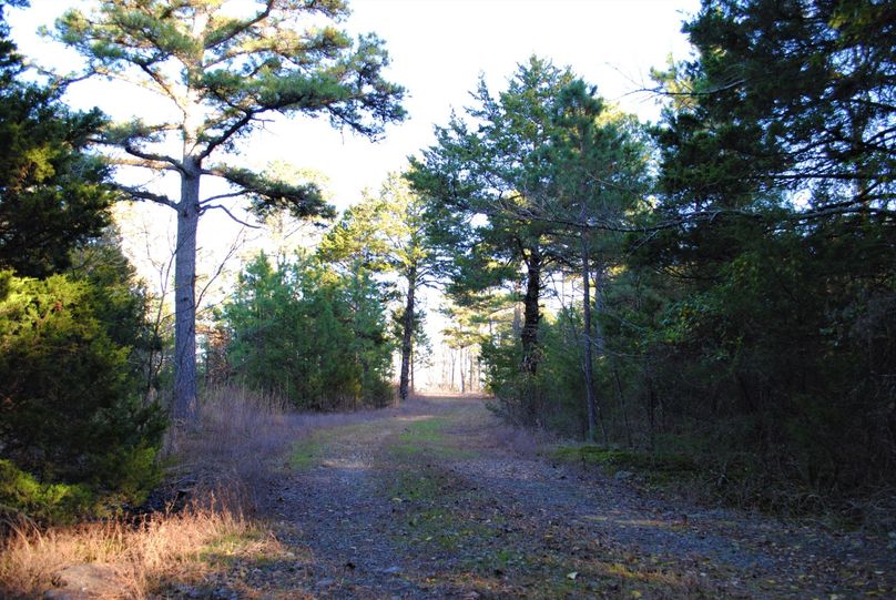 Dsc 0087