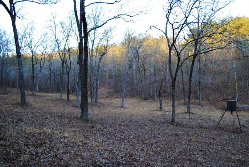Dsc 0169