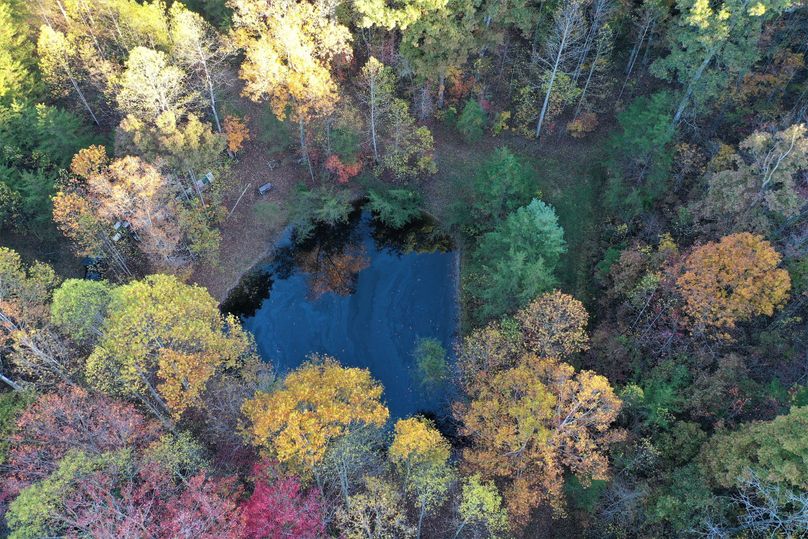 002 drone shot from directly overhead of the pond near the south boundary