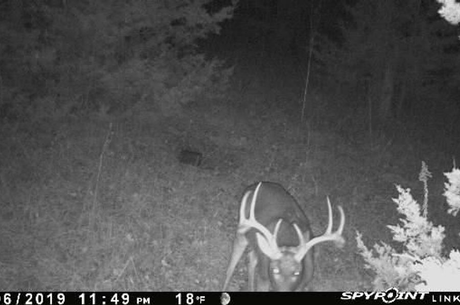 Image1