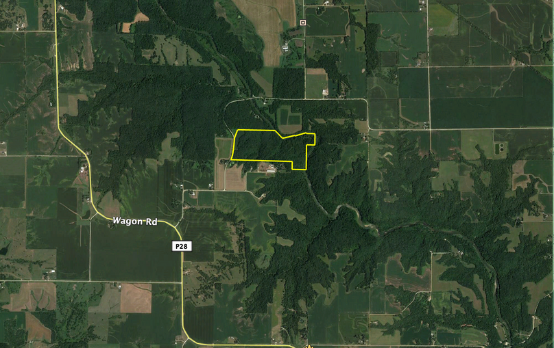 Screen shot 2019-11-06 at 11.17.19 am