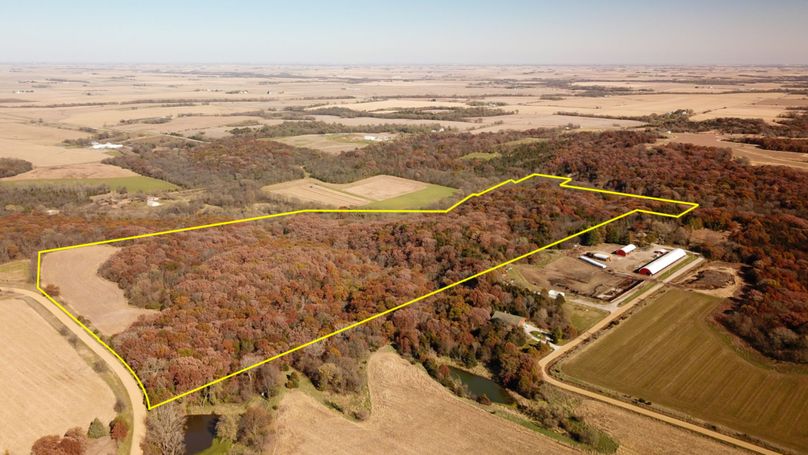 Sparks 94 drone borders