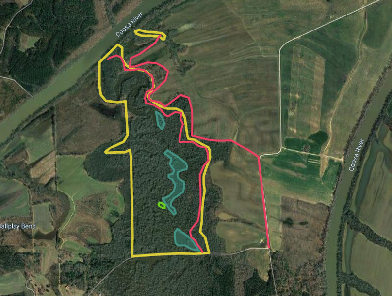 Zscreen shot 2019-11-05 at 5.48.37 am